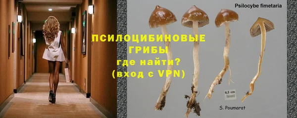 spice Алексеевка