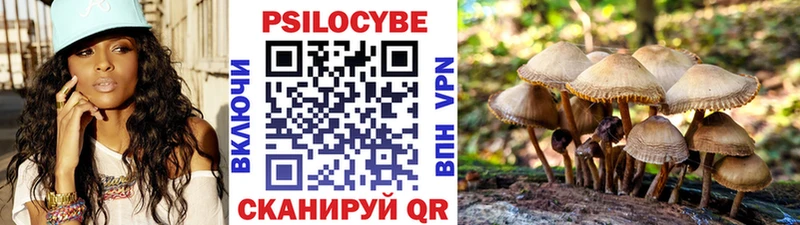 Галлюциногенные грибы Magic Shrooms  ссылка на мегу зеркало  Зеленогорск  площадка Telegram  купить наркотик 